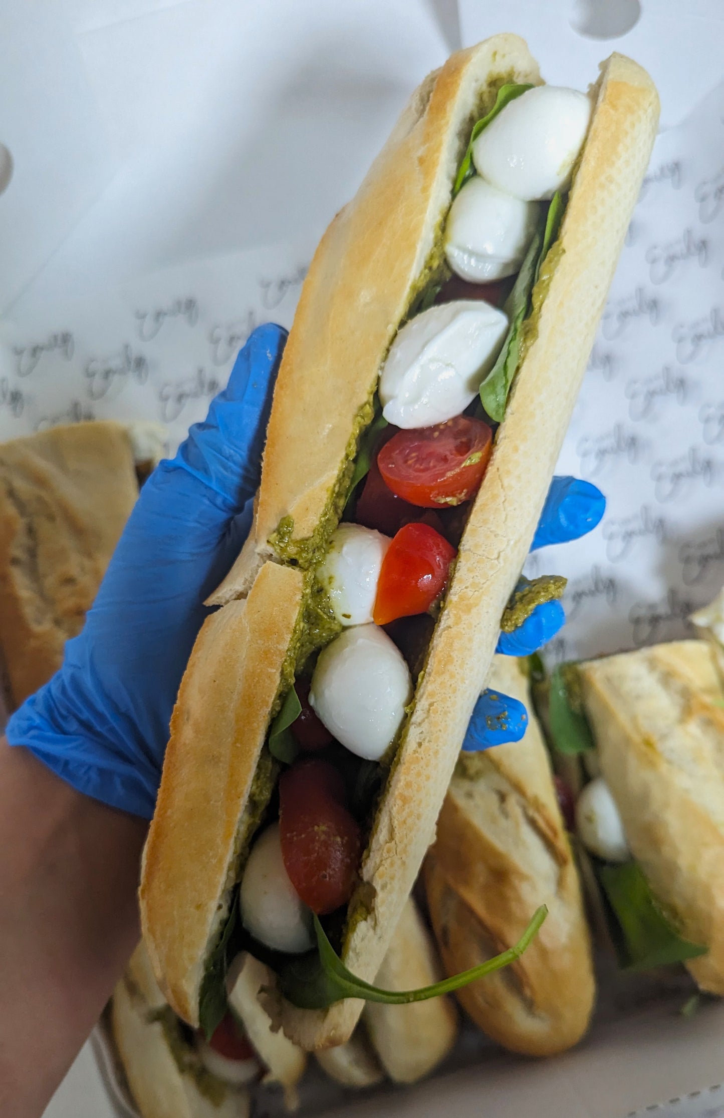 Cherry Tomato, Mozzarella and Basil Loaded Foccacia